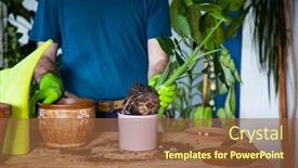  Presentation with home gardening - Presentation design enhanced with man-planting-houseplants-indoors-home background and a tawny brown colored foreground