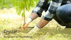  Presentation with tree planting - Colorful PPT layouts enhanced with man planting tree in garden backdrop and a yellow colored foreground