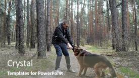  Presentation with play - Slide set featuring man-play-with-dog background and a gray colored foreground