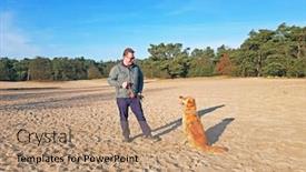  Presentation with nature - Colorful theme enhanced with man-playing-with-his-dog backdrop and a coral colored foreground