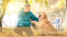  Presentation with dog park - Slides having man-playing-with-his-dog background and a yellow colored foreground