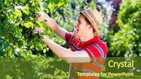  Presentation with orchard - Presentation design consisting of man pruning tree in orchard garden background and a tawny brown colored foreground