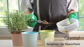  Presentation with home garden - PPT layouts enhanced with man-re-potting-a-rosemary background and a coral colored foreground