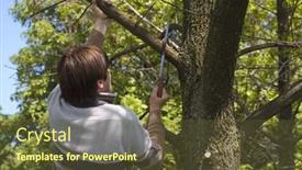  Presentation with branch - Audience pleasing presentation consisting of man-sawing-a-branch backdrop and a tawny brown colored foreground