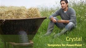  Presentation with hay field - Amazing presentation design having man-sitting-beside-wheelbarrow backdrop and a tawny brown colored foreground