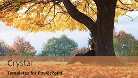  Presentation with cherry - Beautiful presentation featuring man-sitting-under-majestic-orange backdrop and a coral colored foreground