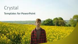  Presentation with field - Presentation theme having man-standing-in-the-mustard background and a sky blue colored foreground