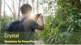  Presentation with take - Presentation theme enhanced with the forest under sun background and a wine colored foreground