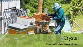  Presentation with bee - Cool new slide deck with man tending to his bee backdrop and a yellow colored foreground