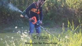  Presentation with weed - Slides with man-trimming-weed-with-weed background and a mint green colored foreground