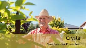  Presentation with cheerful - PPT theme enhanced with man using a hedge shear background and a gold colored foreground