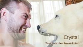  Presentation with polar bear - Colorful slide set enhanced with man vs polar bear head backdrop and a lemonade colored foreground