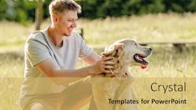  Presentation with leash - Presentation theme featuring man-walking-golden-retriever background and a yellow colored foreground