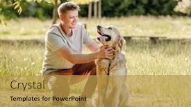  Presentation with leash - PPT theme with man-walking-golden-retriever background and a gold colored foreground