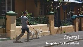 Presentation with walking exercise - Cool new PPT layouts with man walking his dog part backdrop and a gray colored foreground