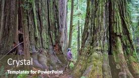  Presentation with walking trail - Amazing theme having man-walking-on-trail backdrop and a tawny brown colored foreground