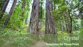  Presentation with walking trail - Cool new presentation theme with man-walking-on-trail backdrop and a tawny brown colored foreground