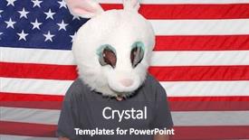  Presentation with bunny - PPT layouts enhanced with man wears a easter bunny background and a dark gray colored foreground