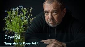  Presentation with dark forest - Presentation design with man-with-a-bouquet background and a wine colored foreground