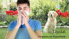  Presentation with therapy dogs - Colorful slide set enhanced with man with tissue and pet backdrop and a  colored foreground