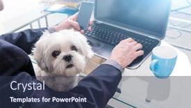  Presentation with home office - Amazing PPT layouts having man-working-at-home backdrop and a tawny brown colored foreground