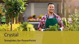  Presentation with garden - PPT theme consisting of man working in garden center background and a gold colored foreground