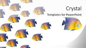  Presentation with change - Beautiful PPT theme featuring management change - going different way and standing backdrop and a white colored foreground