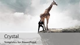  Presentation with media - Beautiful slides featuring manager animals - businessman fighting opponent mixed media backdrop and a light gray colored foreground