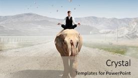  Presentation with power media - PPT layouts consisting of manager animals - he possesses animal strength background and a mint green colored foreground