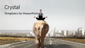  Presentation with power media - Cool new slide deck with manager animals - he possesses animal strength backdrop and a light gray colored foreground