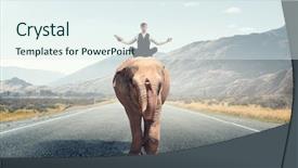  Presentation with power media - PPT theme featuring manager animals - he possesses animal strength background and a sky blue colored foreground