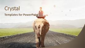  Presentation with power media - Presentation design having manager animals - he possesses animal strength background and a sky blue colored foreground