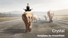  Presentation with power media - Audience pleasing PPT theme consisting of manager animals - he possesses animal strength backdrop and a gray colored foreground