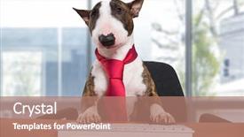  Presentation with keyboard - Beautiful presentation theme featuring manager typing on a computer backdrop and a coral colored foreground