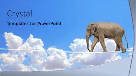  Presentation with elephant - Audience pleasing PPT theme consisting of managing-risk-concept-elephant-walking backdrop and a light blue colored foreground