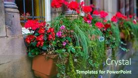  Presentation with city street - Audience pleasing presentation theme consisting of manchester-city-urban-street-view backdrop and a tawny brown colored foreground