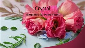  Presentation with mandala - Theme having mandala - beautiful composition with flowers background and a coral colored foreground