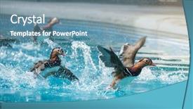  Presentation with blue water lily - Beautiful PPT theme featuring mandarin duck swimming on blue backdrop and a seafoam green colored foreground