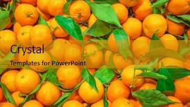  Presentation with mandarin fruits - Audience pleasing presentation theme consisting of mandarin fruits backdrop and a gold colored foreground