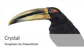  Presentation with soil profile - Presentation theme with mandibe - close up profile background and a white colored foreground