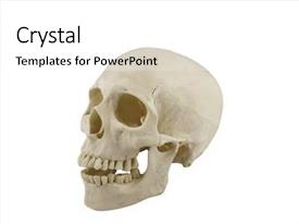 Mandible Mandibe Human Skull PPT template 1 | CrystalGraphics