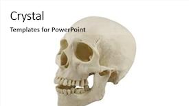  Presentation with skull - Presentation theme having mandibe - human skull model background and a white colored foreground
