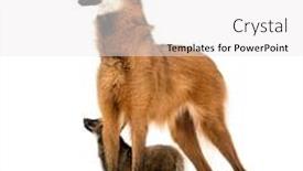  Presentation with wolf - PPT layouts featuring maned-wolf-cub-and-mom background and a white colored foreground