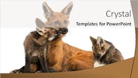  Presentation with wolf - Theme featuring maned-wolf-mom-and-cubs background and a white colored foreground