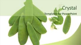  Presentation with white snow - Amazing PPT layouts having manging - mange tout snow pea pods backdrop and a mint green colored foreground