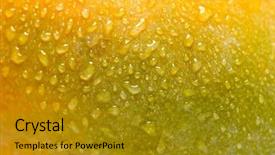  Presentation with mango - Slides enhanced with mango close-up background and a gold colored foreground