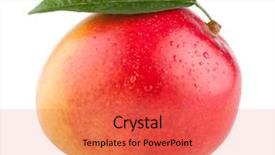  Presentation with mango fruit - Audience pleasing PPT theme consisting of mango fruit isolated on white backdrop and a red colored foreground