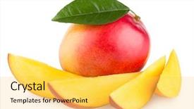  Presentation with mango fruit - Audience pleasing PPT layouts consisting of mango fruit isolated on white backdrop and a yellow colored foreground