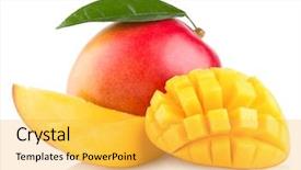  Presentation with mango fruit - Audience pleasing slides consisting of mango fruit isolated on white backdrop and a yellow colored foreground