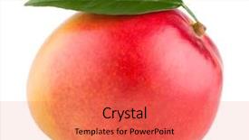  Presentation with mango fruit - Presentation design featuring mango fruit isolated on white background background and a red colored foreground